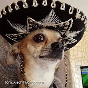 Meet your Posher, Kyah